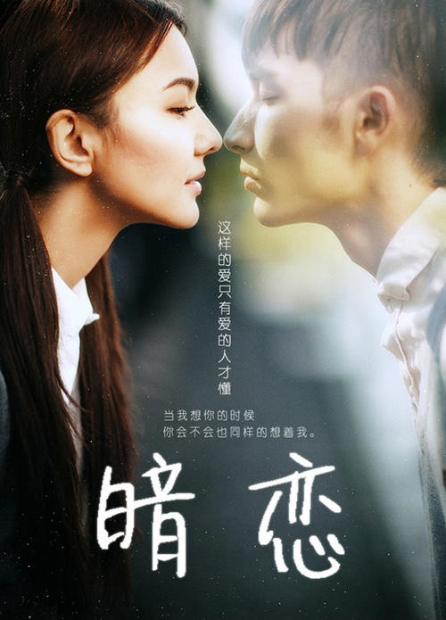 购买假得克萨斯州驾照